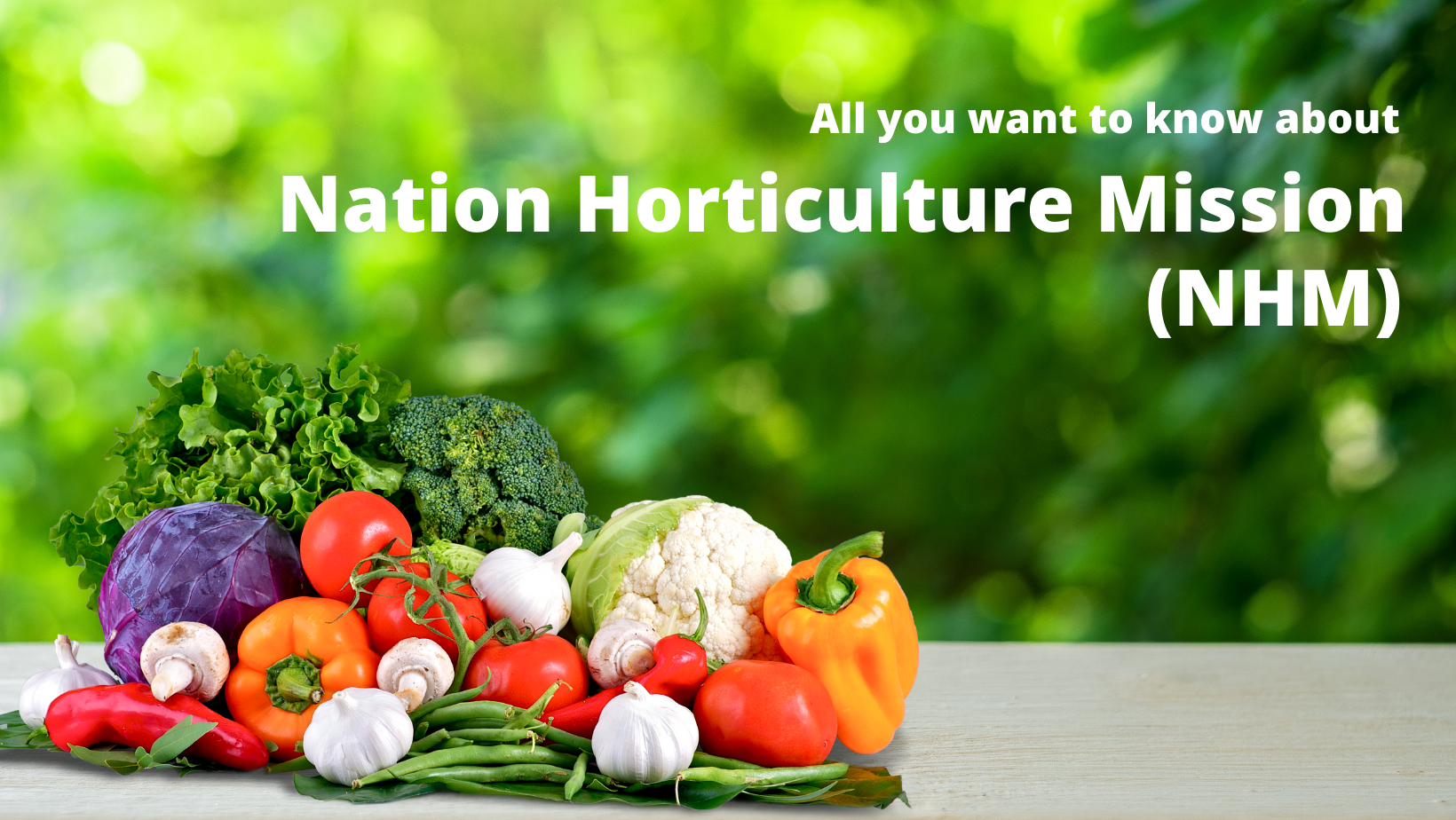 Mission-for-Integrated-Development-of-Horticulture