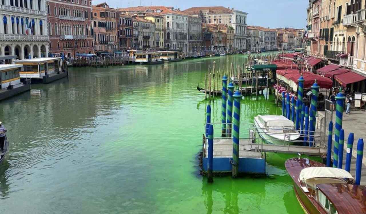 venice water turns fluorescent green