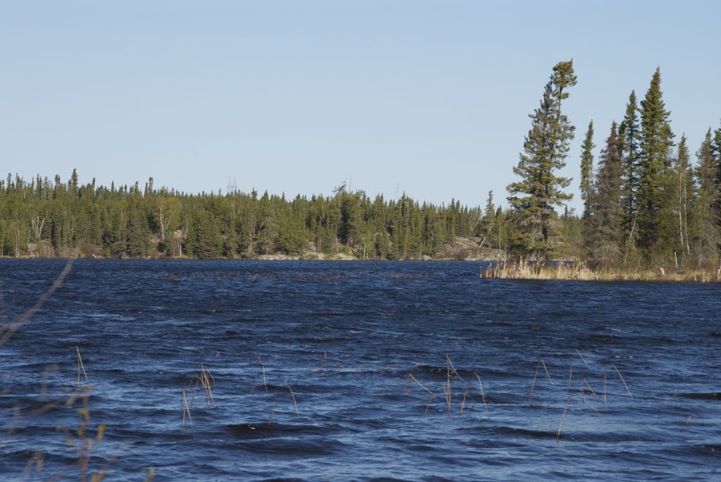 Anthropocene: Canadian lake mud 