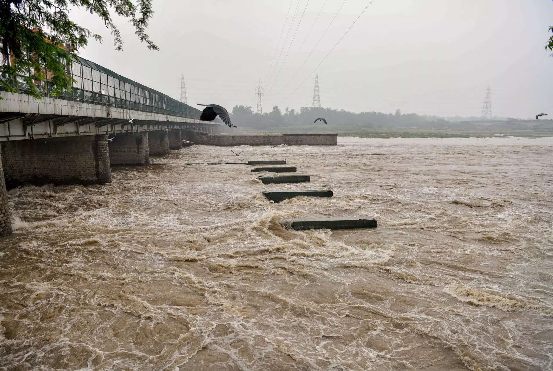 Yamuna Flooding