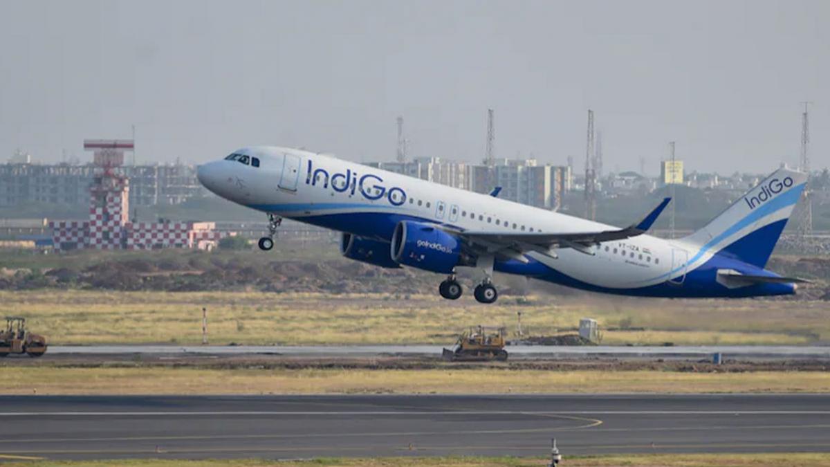 Indigo