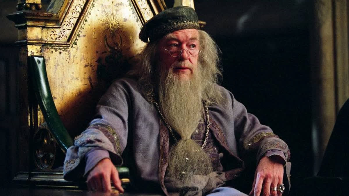 professor Dumbledore