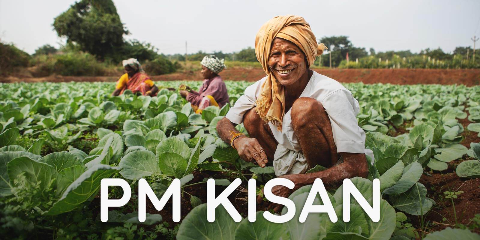 Kisan