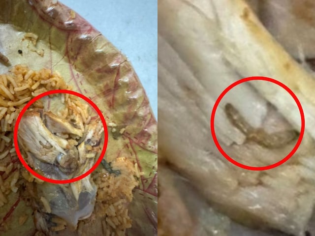 Hyderabad Resident Finds Bugs in Chicken Biryani Ordered from Zakir Khan's Restaurant on Swiggy
