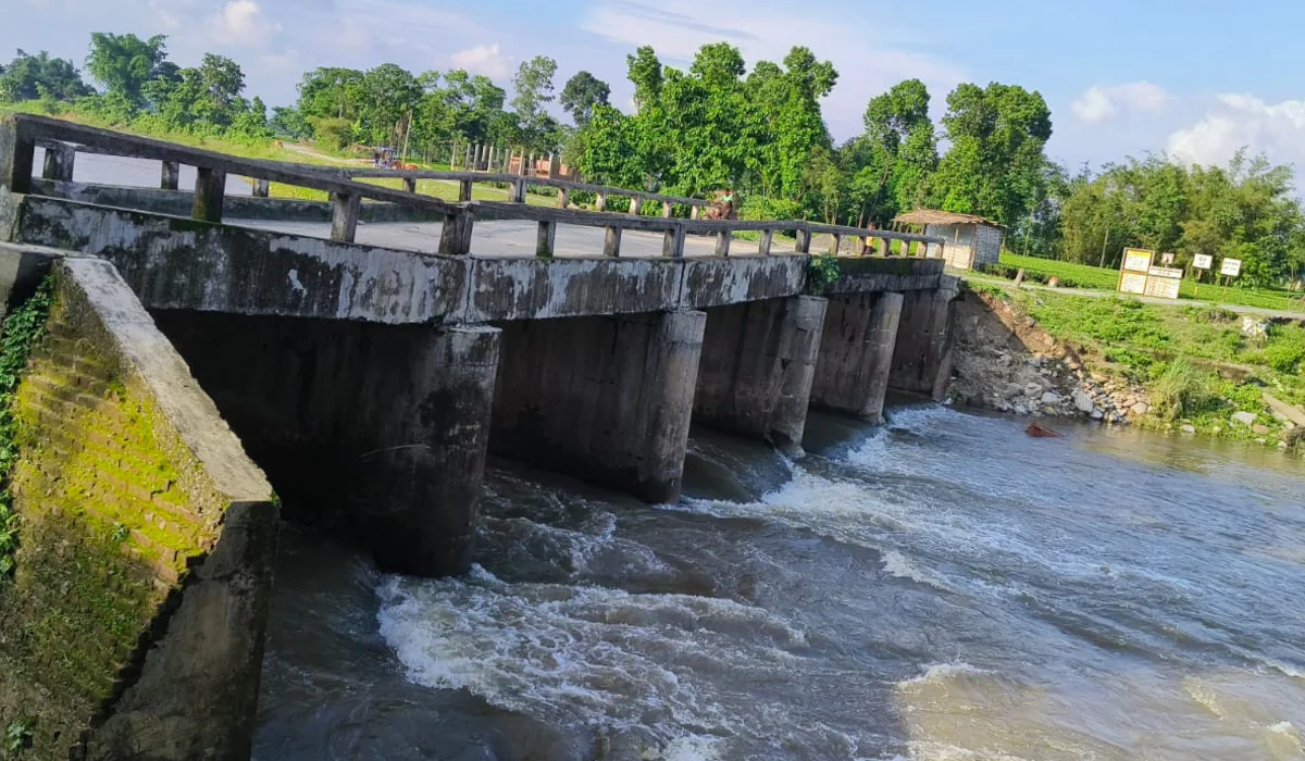 Bihar Bridge Collapse: 15-Year-Old Bridge Over Gandaki River in Saran Collapses, Marking Third Incident in 24 Hours