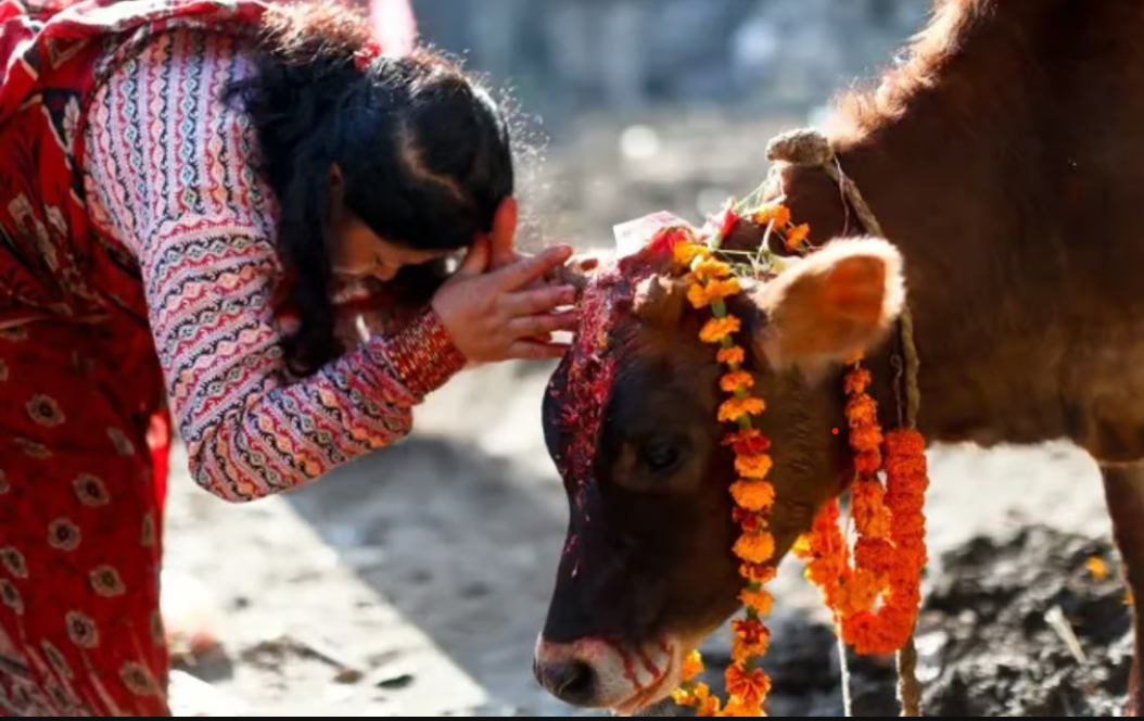 Rajya Mata