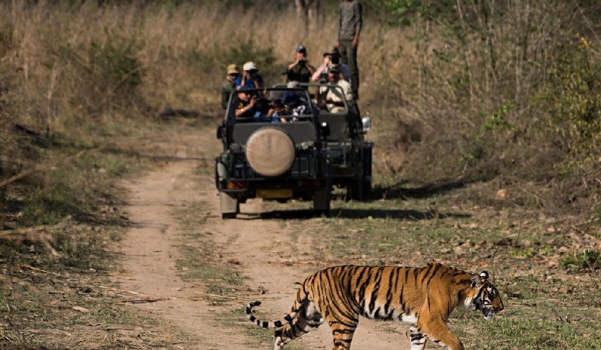 Ranthambore