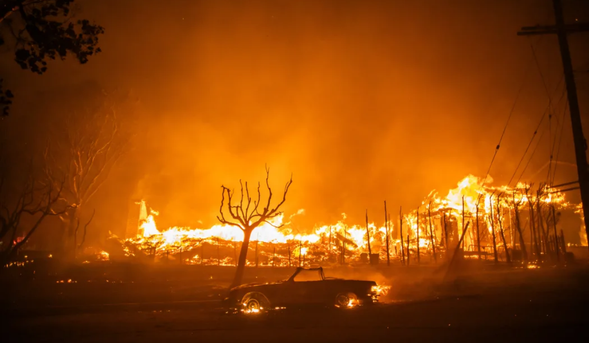 Wildfires in Los Angeles